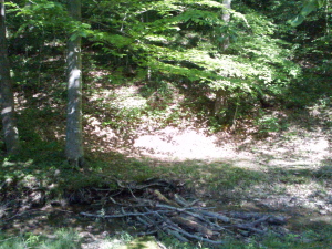 2012-05-17 17.27.18