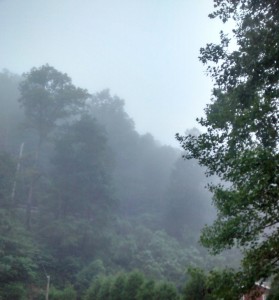©Misty Mountain Reverie 2015
