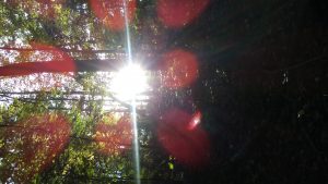 20161012_091437